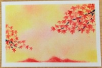 019紅葉2★★【黄/赤/紺】