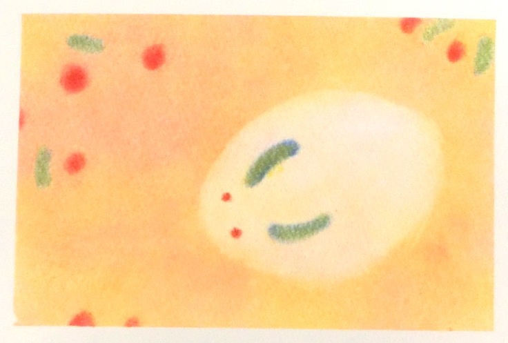 022雪うさぎ★【橙/赤/紺】