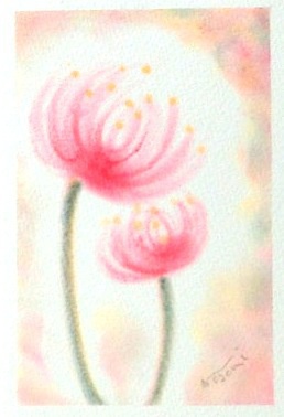 039彼岸花★【橙/赤/紺】