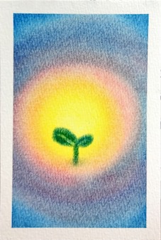 069ふたば★【黄/桃/青】