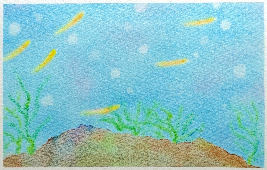 091メダカ★★【黄/桃/青】