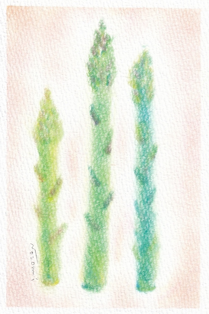 116アスパラガス★★【黄/桃/青】