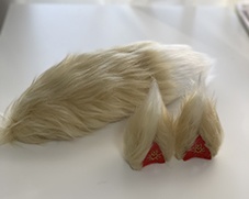 狐耳・尻尾セット DD