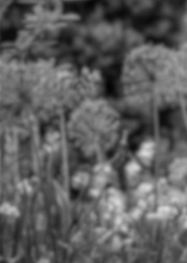 【小竜さに】Day by Day vol.4【再録】