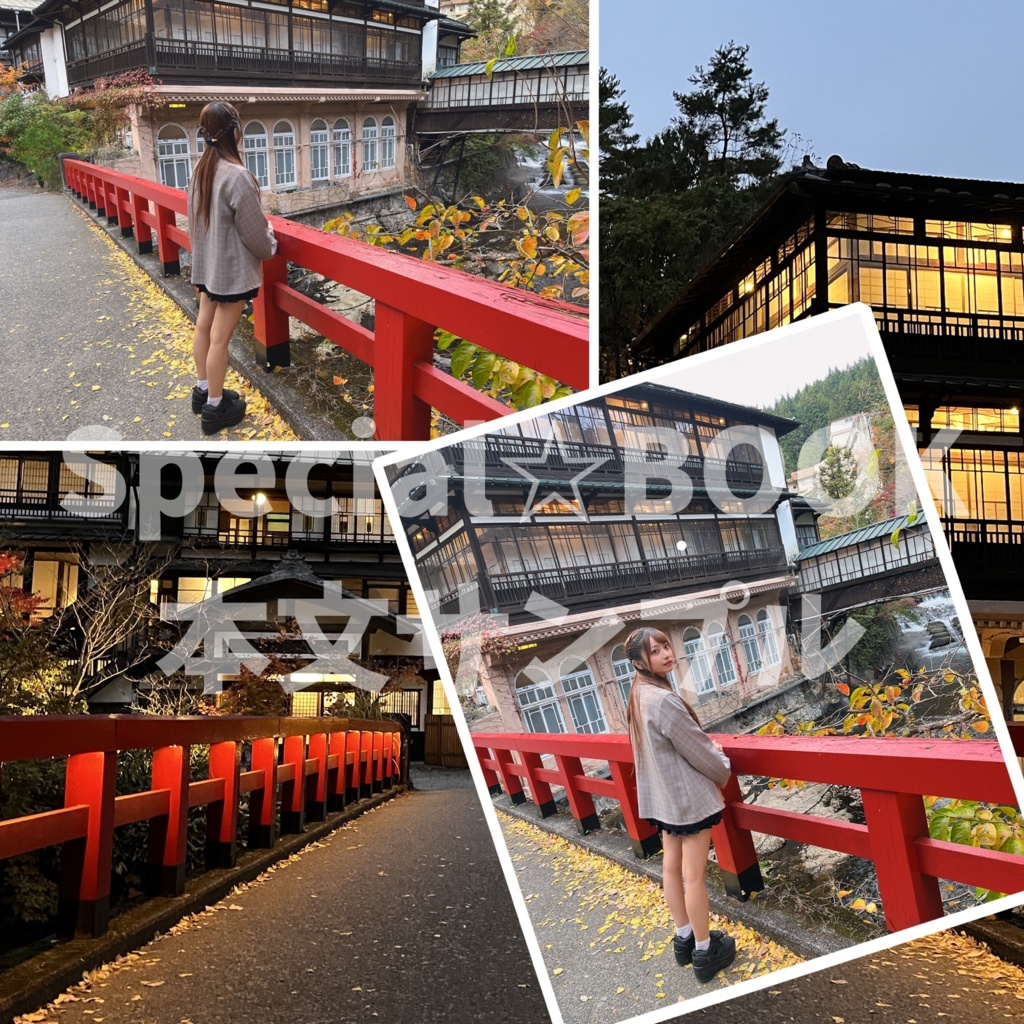 【郵送】単品【柳瀬あおい生誕祭2026オリジナルグッズ】