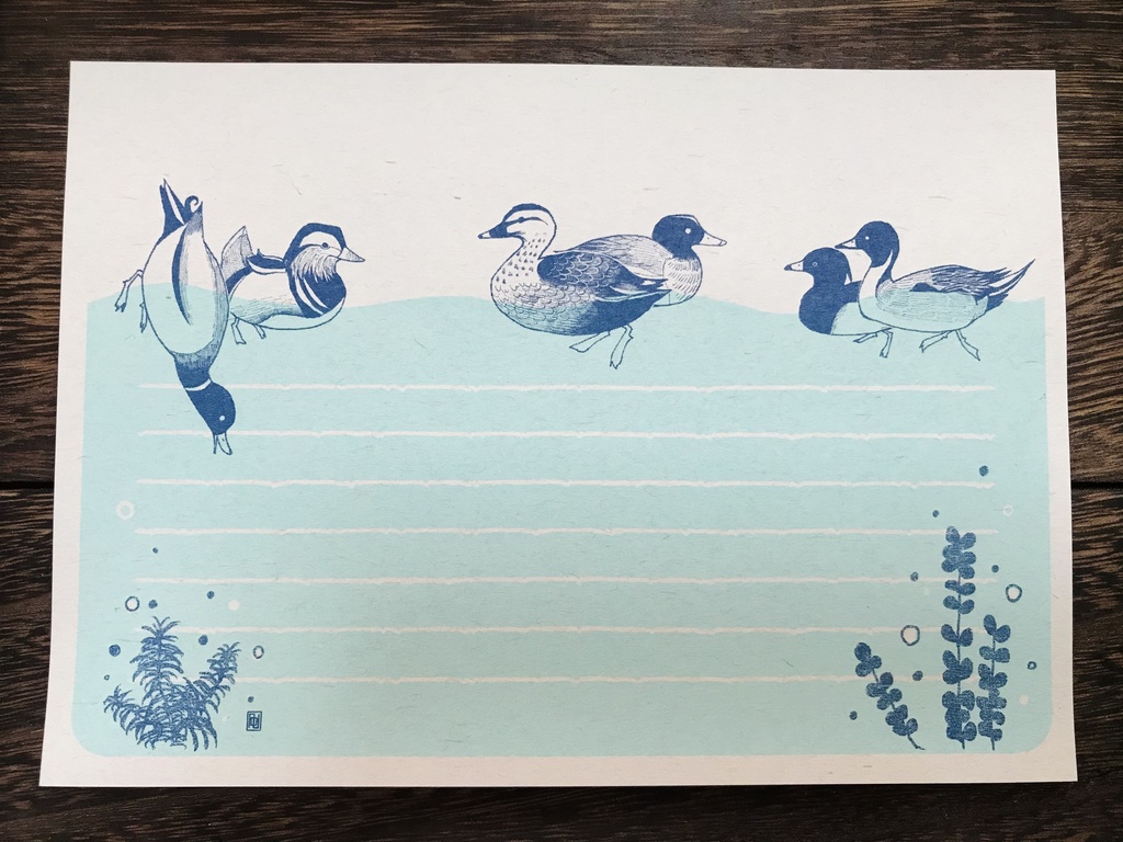 便箋 / カモ達・ワシタカ・キジバト