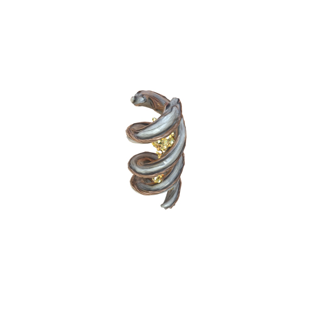 Helix of Nature 3d model