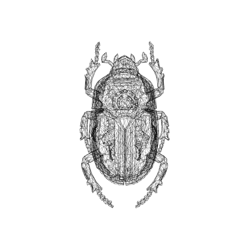 Runic Mechanical Scarab 3d model