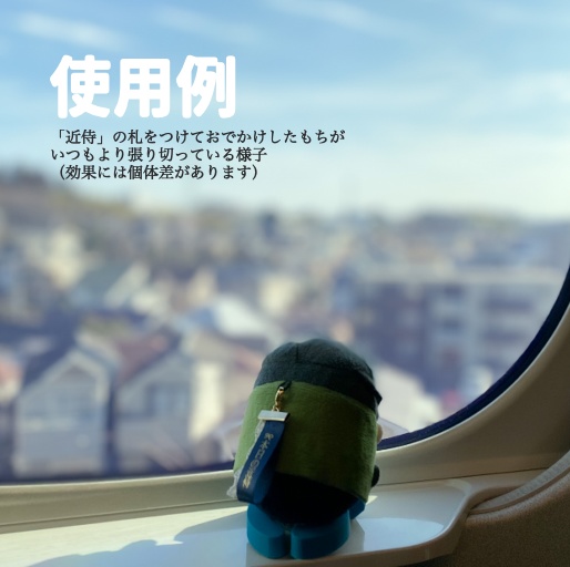 【おなまえプリント】ぬいの迷子札