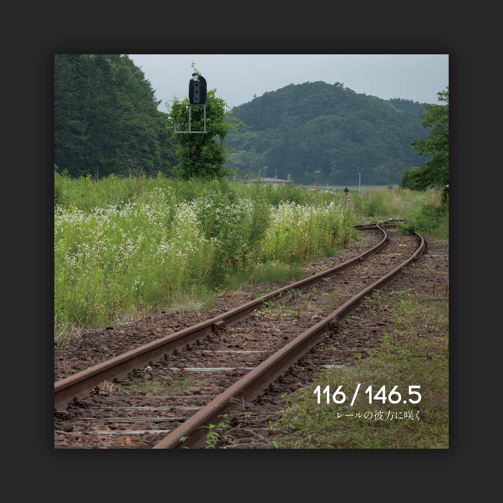 116／146.5 ～ レールの彼方に咲く