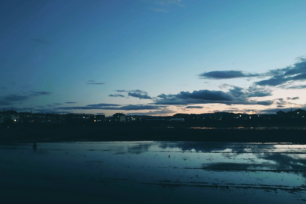 写真プリントTシャツ(ゆうぐれ)