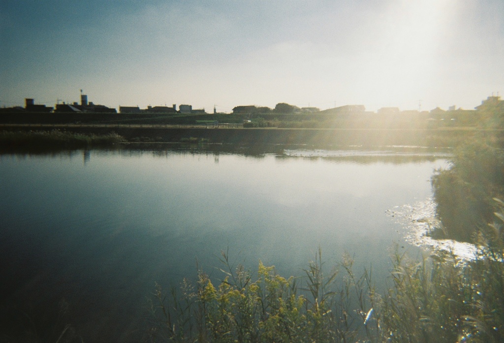 写真プリントTシャツ(ひかり)
