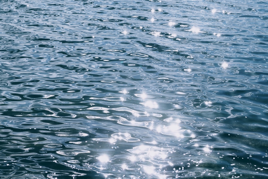 写真プリントTシャツ(かがやき)