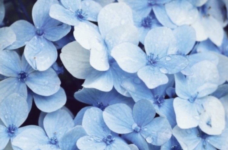 ポストカード−しずく