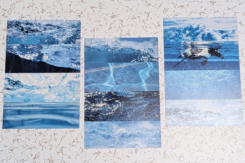 ポストカードセット−Aquarium