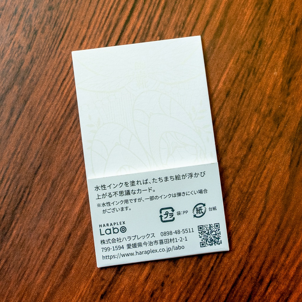 浮き出るぬりえ(インクカード) 〜飾蟲靴〈ショクチュウカ〉〜