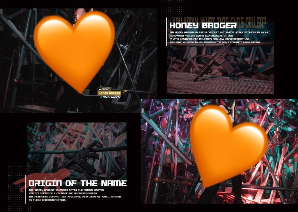 C105写真集 単品 【Reckless of danger】