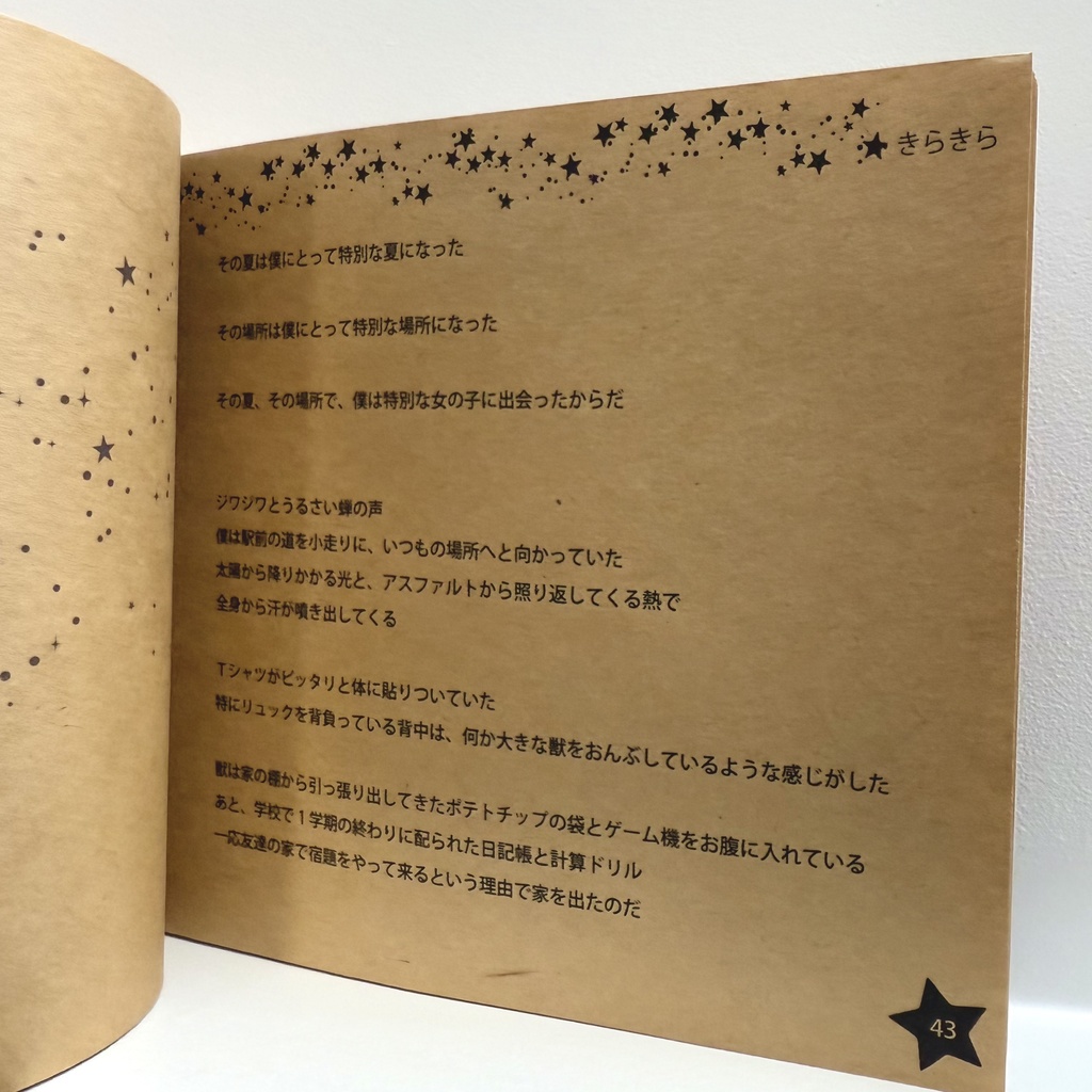 秘密基地(CDブック)