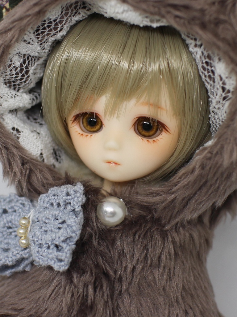 カスタムヘッド/プチフェアリー