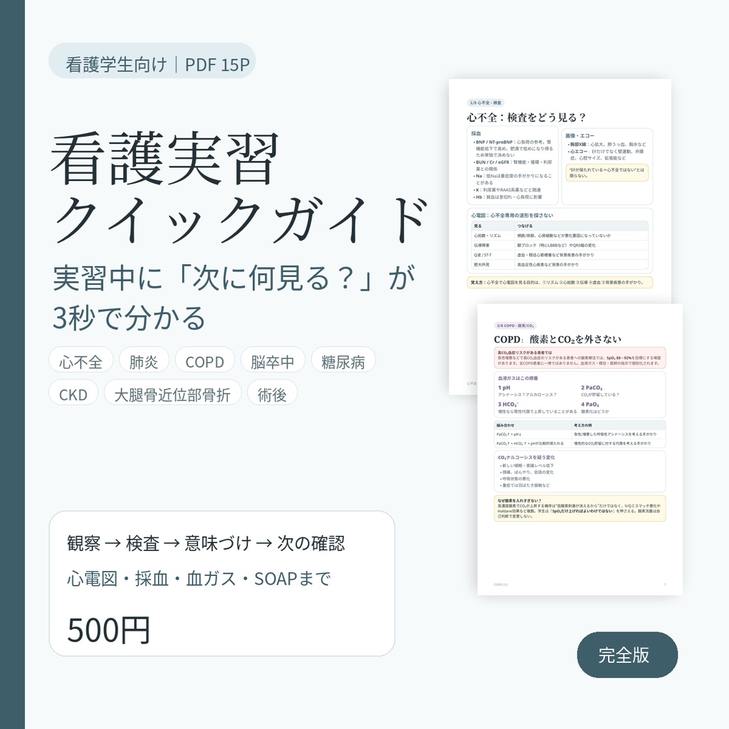 看護実習クイックガイド|よくある疾患・状態8選