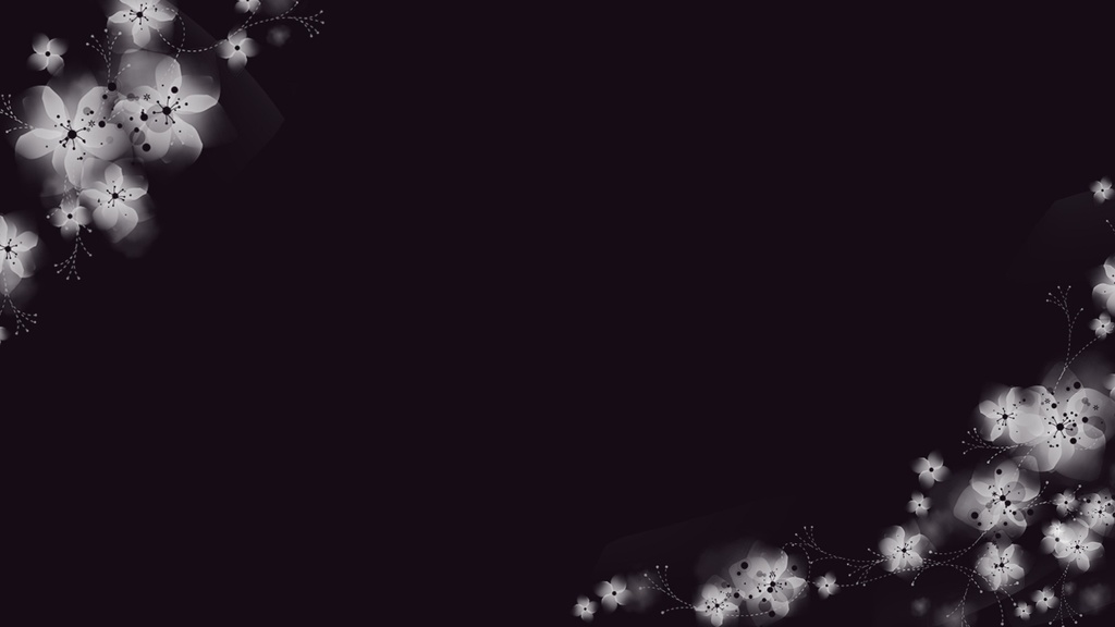 黒い背景と白い桜