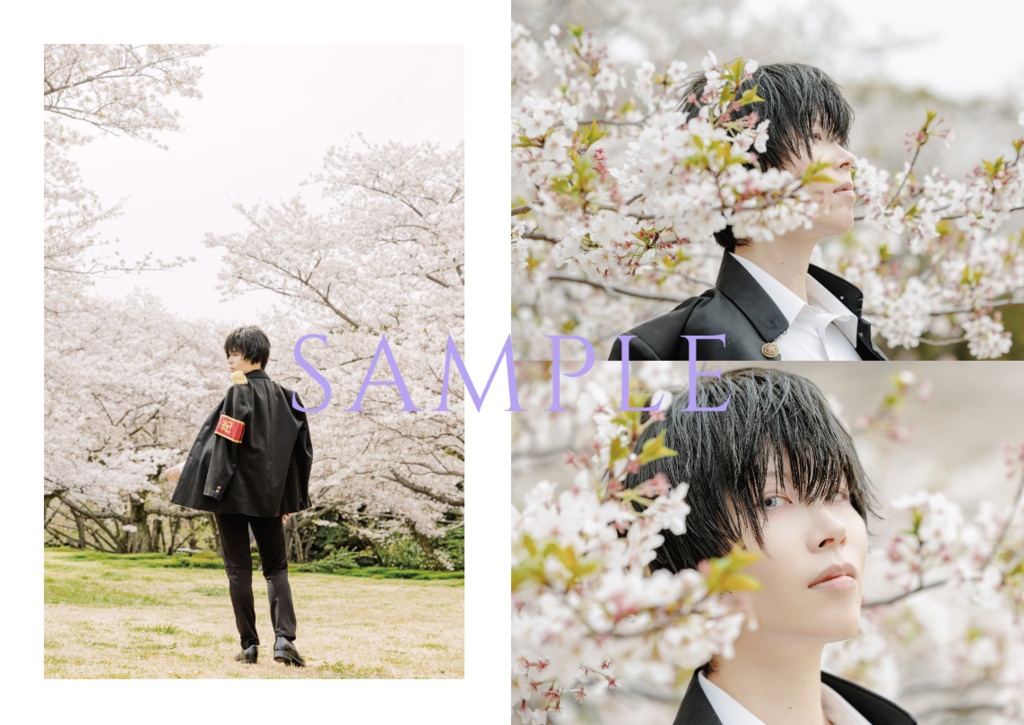 雲雀恭弥写真集 SAKURA manima