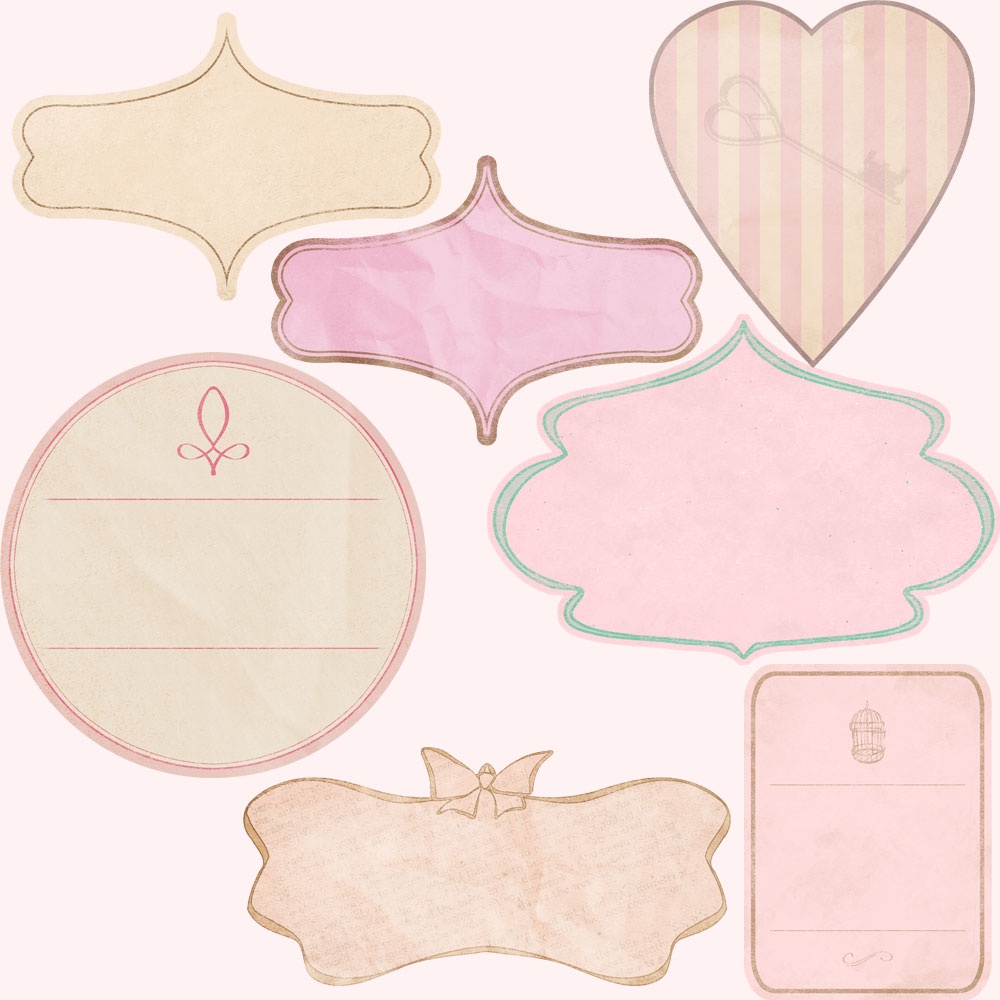PINK VINTAGE LABERS