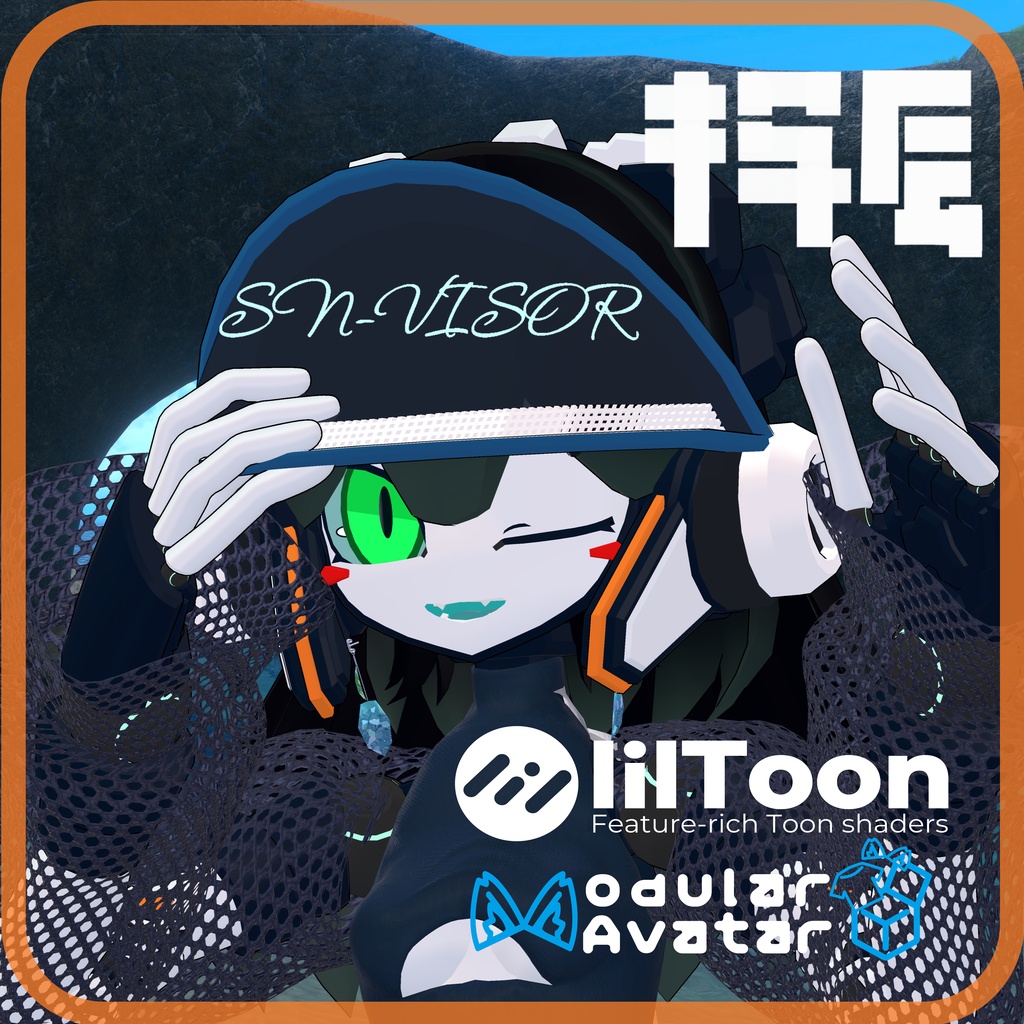 SN-VISOR