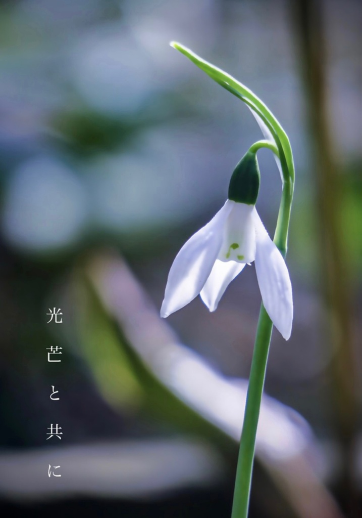 光芒と共に
