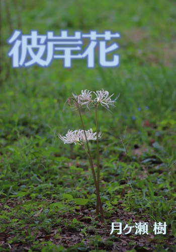彼岸花