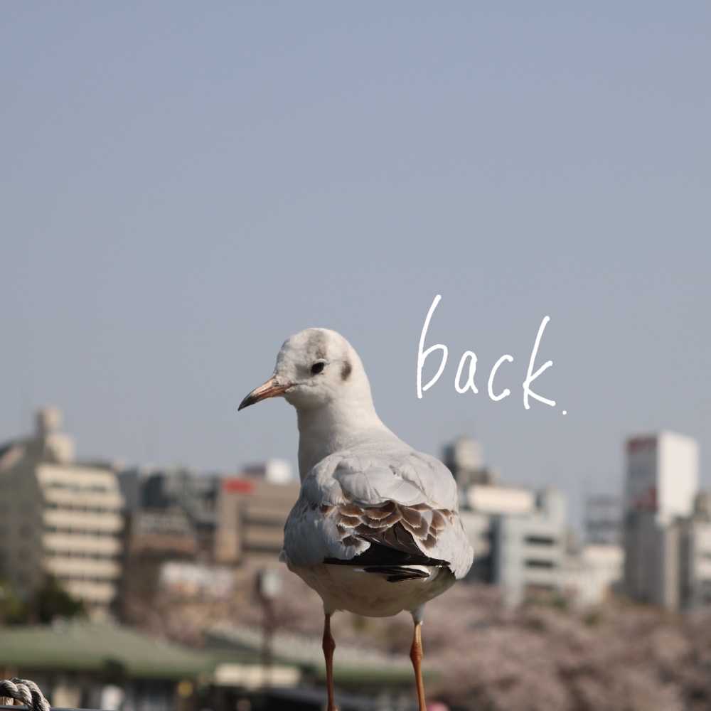 back