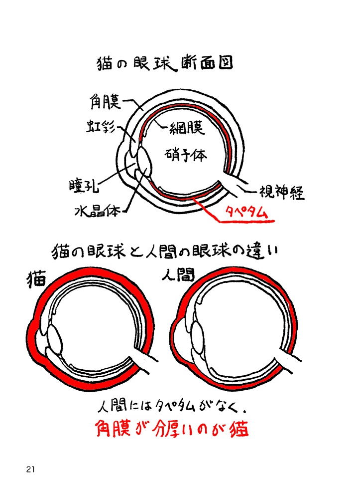 ネコカクマク【あんしんBOOTHパック】