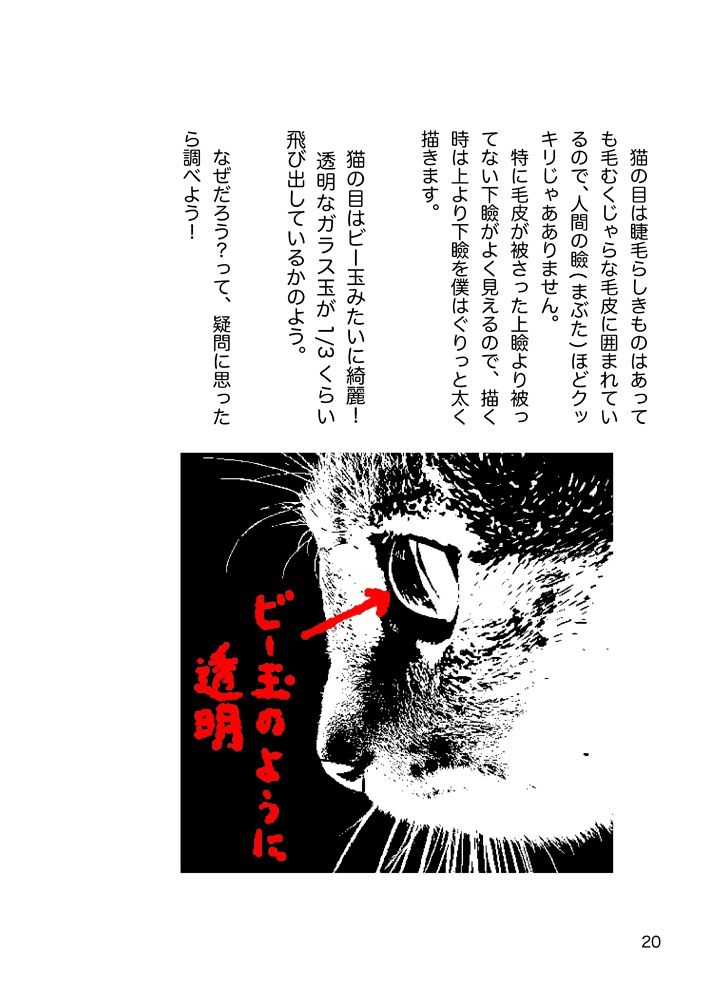 ネコカクマク【あんしんBOOTHパック】