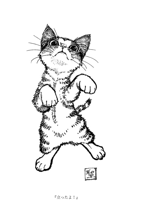 CATCUTS【あんしんBOOTHパック】