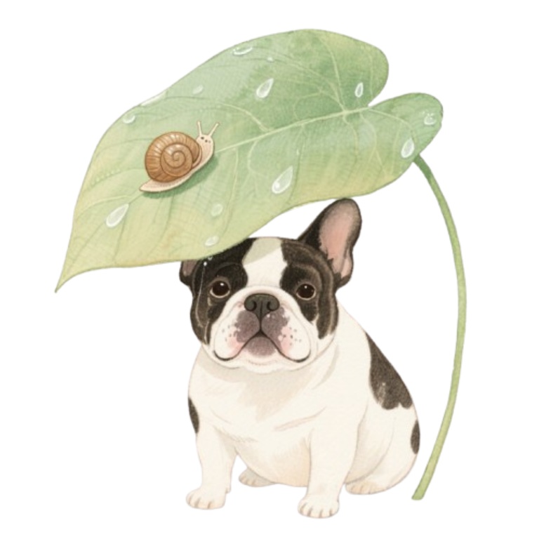 ゆるかわフレブル君 素材5点セット 梅雨ver.