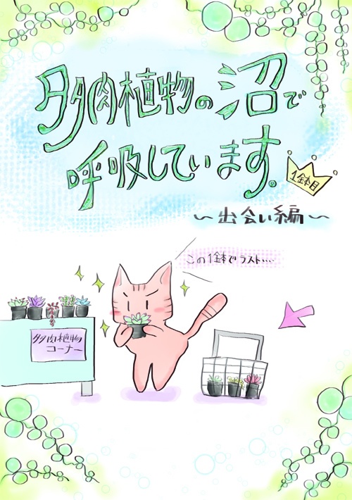 多肉植物の沼で呼吸しています①