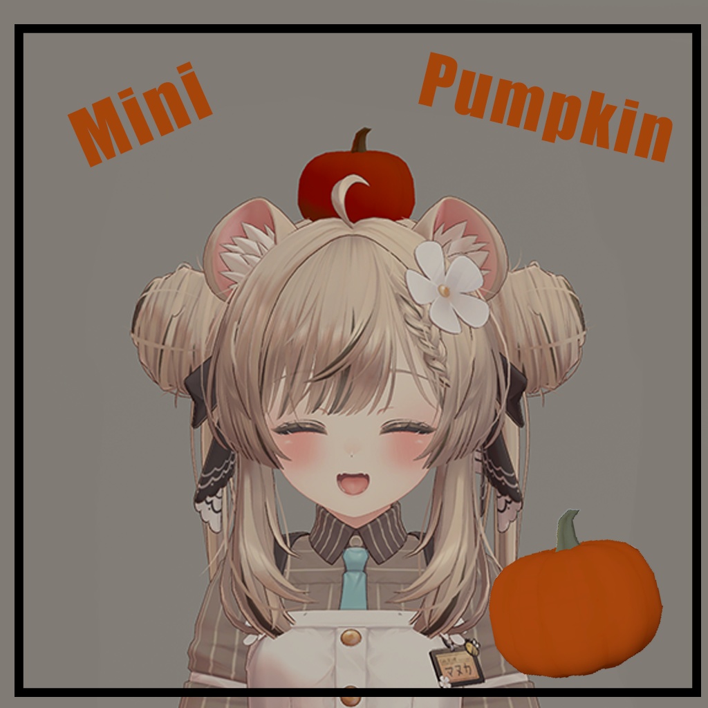 Mini Pumpkin(ミニカボチャ)