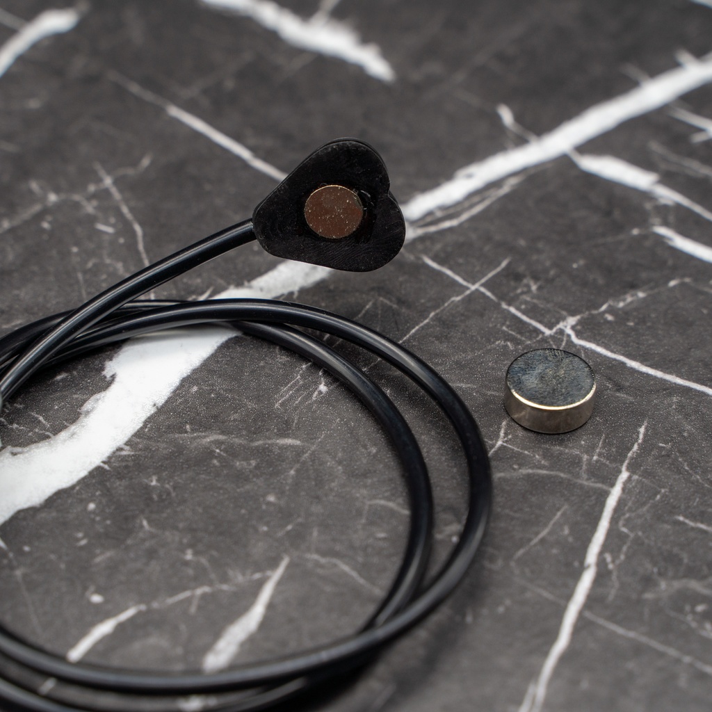 悪魔の尻尾 全長40cm+