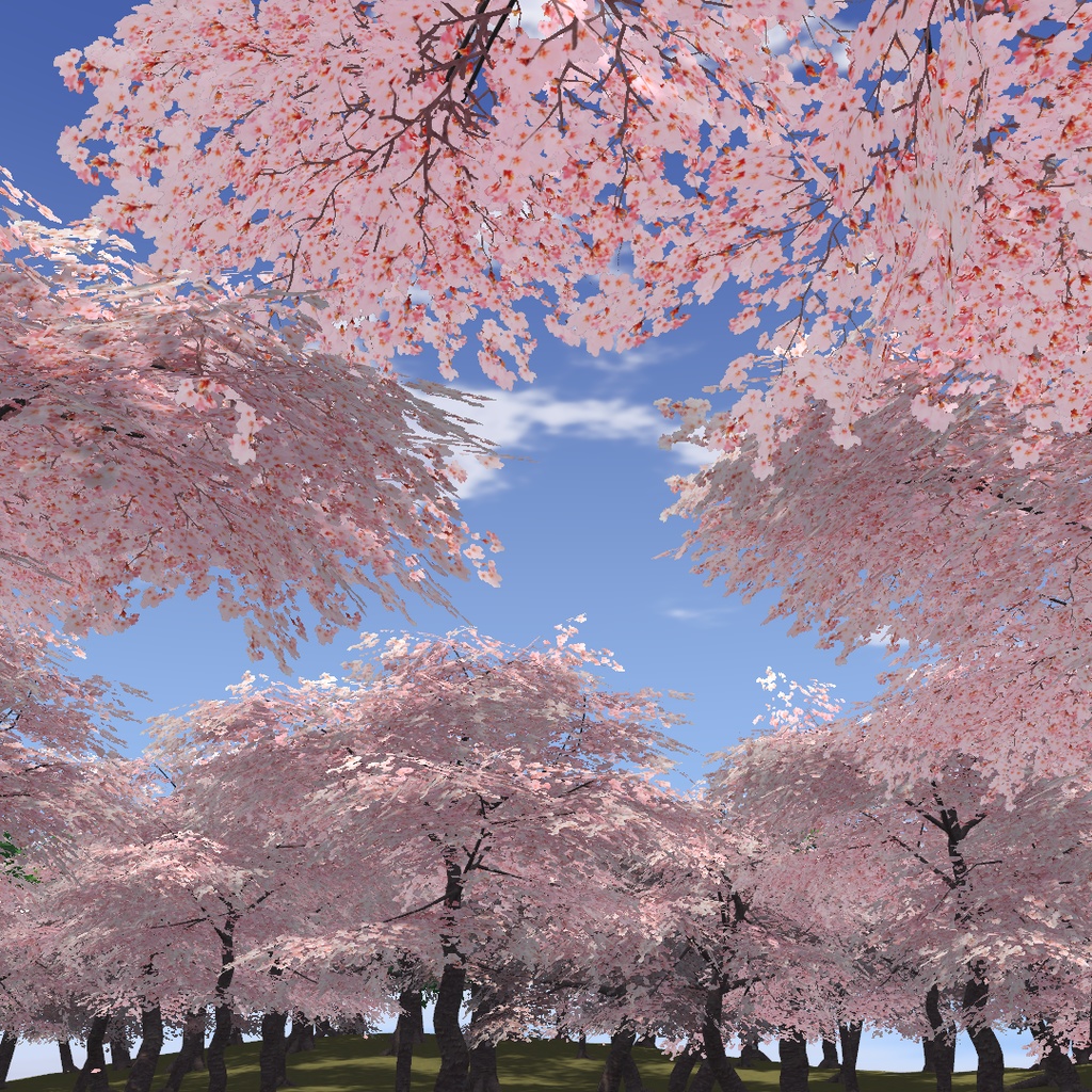 風に揺れる四季の桜