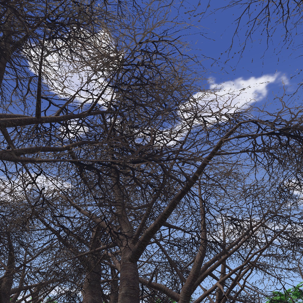 風に揺れる四季の桜