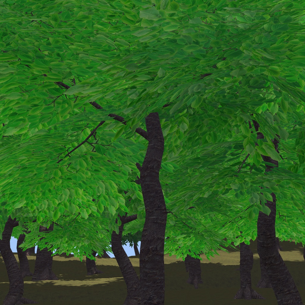 風に揺れる四季の桜