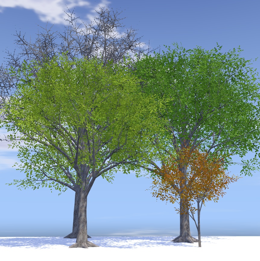 風に揺れる四季の木々