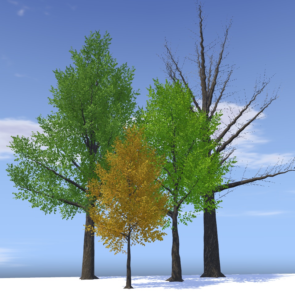 風に揺れる四季の木々