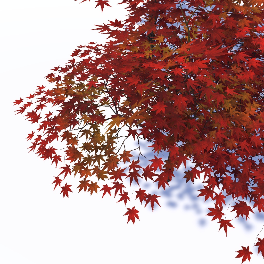 風に揺れる四季の木々