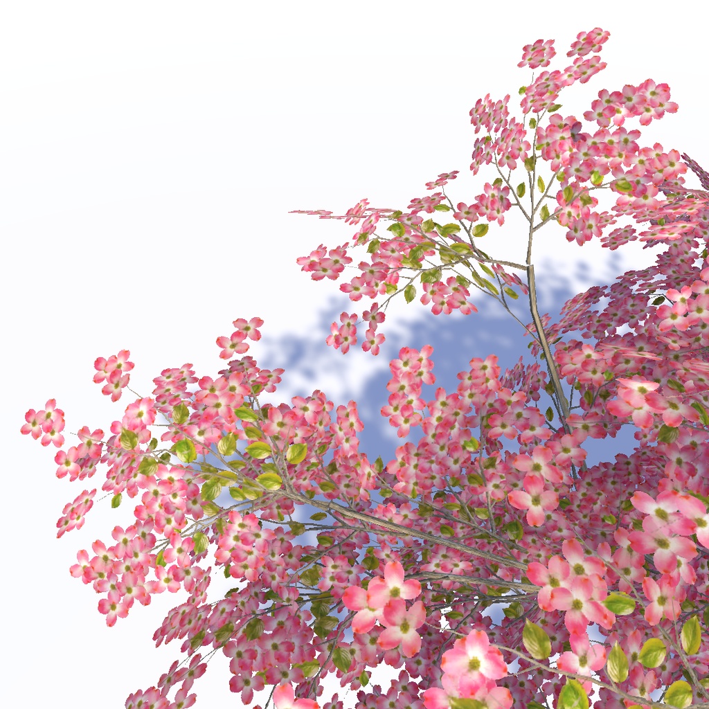 風に揺れる四季の木々