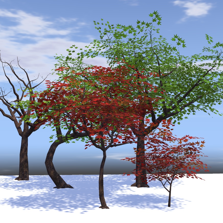 風に揺れる四季の木々