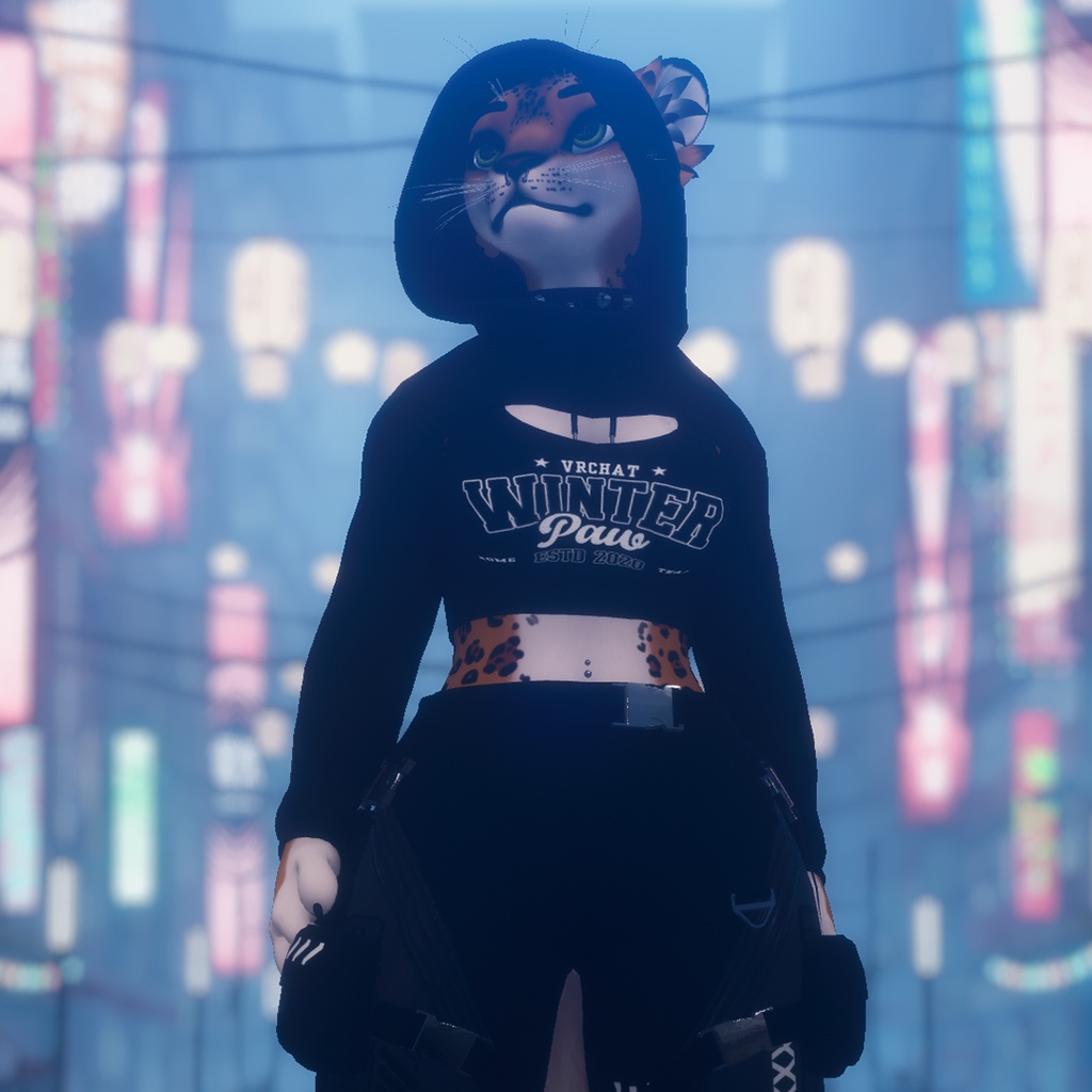 Winterpaw 猫 / オリジナル3Dモデル