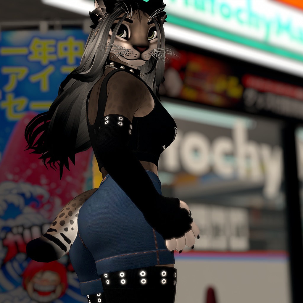 Winterpaw 猫 / オリジナル3Dモデル