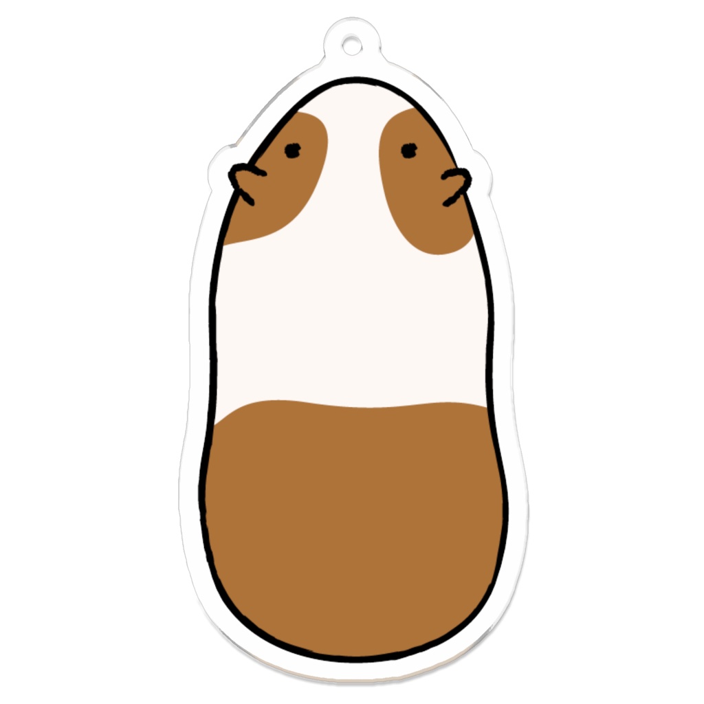  上から見たモルモット(茶）