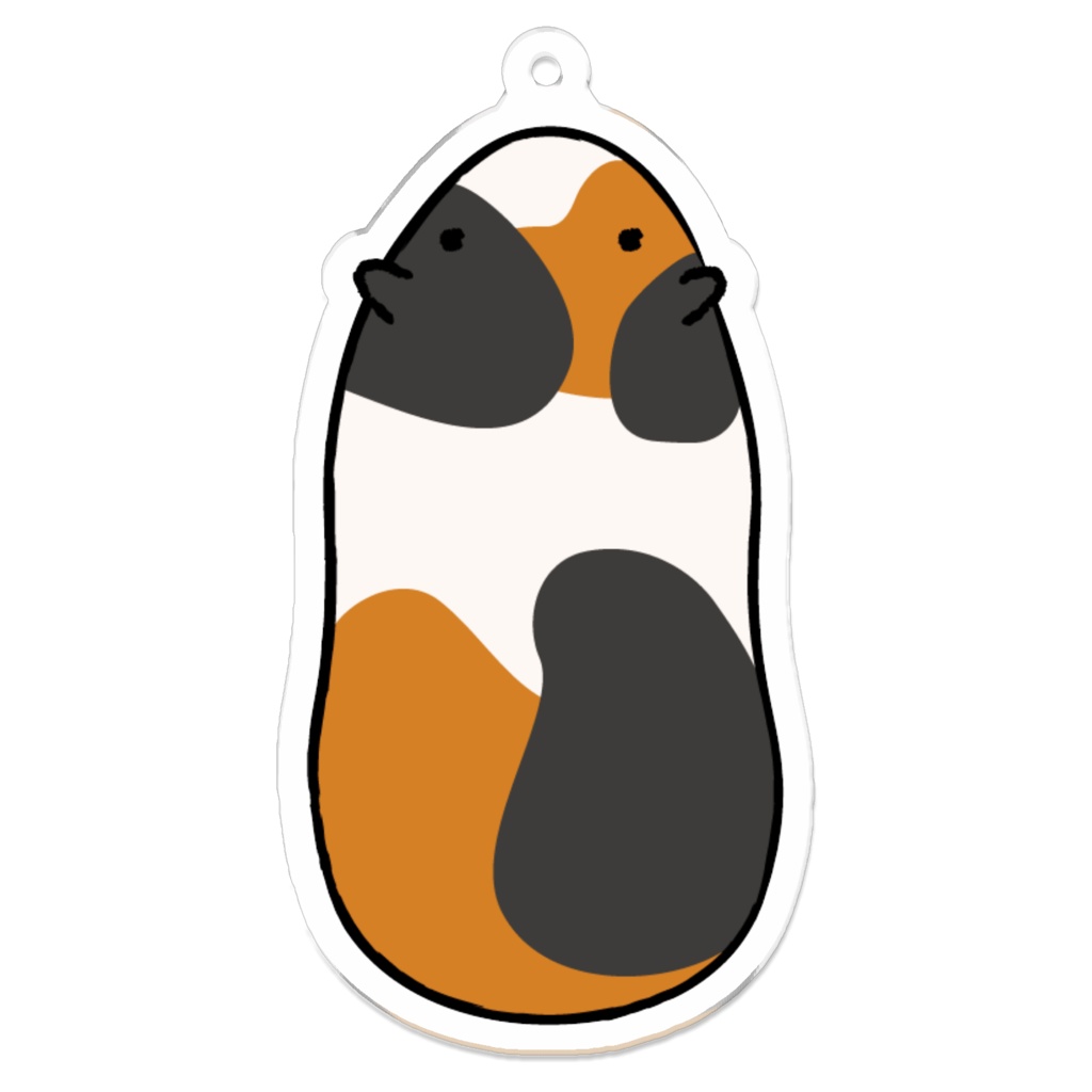 上から見たモルモット(三毛)